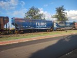 RUMO HTT-065649-6